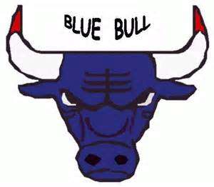 ***ORDER FOR DEBBIEDEESWART BLUE BULLS BEANIE***