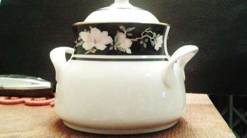 Stunning Royal Doulton Sugar Pot from Vogue Collection Intrigue