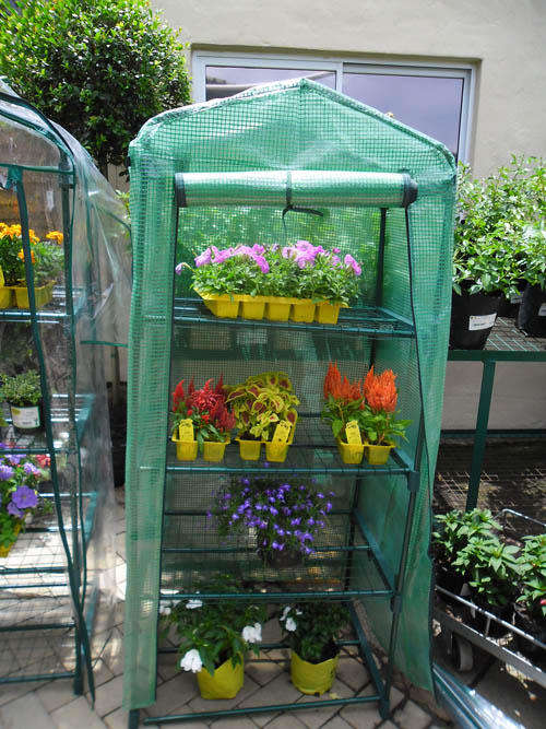 4-Tier Mini Greenhouse