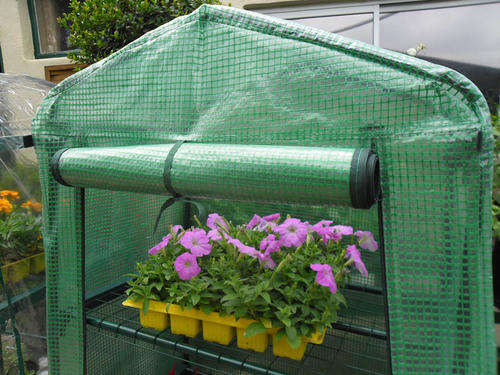 4-Tier Mini Greenhouse