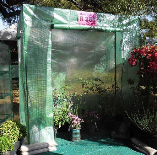 Tomato Greenhouse