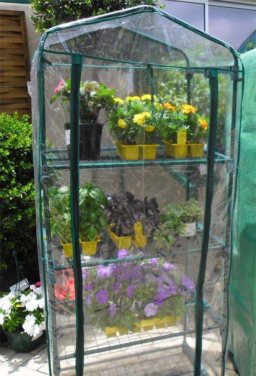 clear cover for mini greenhouse