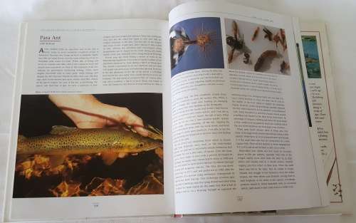Fly Fishing