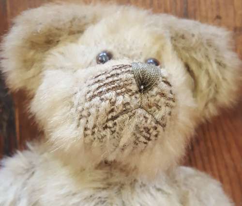teddy bear