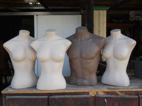 4 TORSO'S (BIDDING PER EACH)