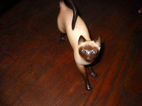 BEAUTIFUL ROYAL DOULTON SIAMESE CAT - PERFECT CONDITION