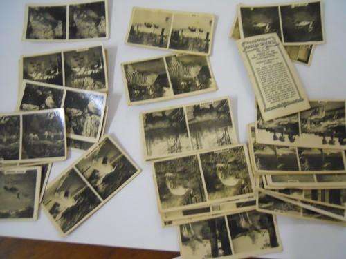 31 cigarette cards of nature studies