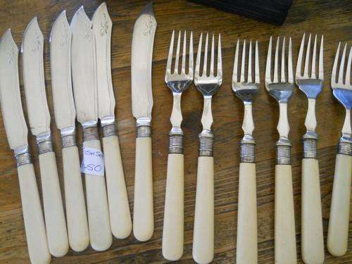 Super silver banded fish set!!!!