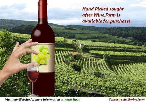Wine Farm