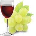 Wine.Farm Domain Name