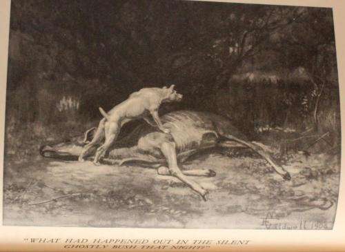 Jock of the Bushveld (1960 edition)
