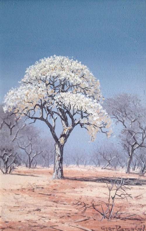 Gert Pietersen oil painting