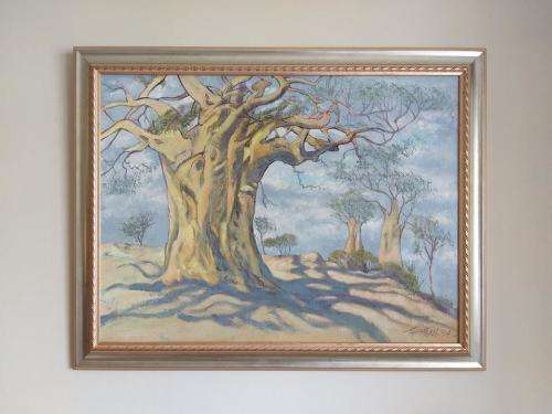 Oil painting of a baobab tree by Barbara Tyrrell