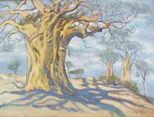 Oil painting of a baobab tree by Barbara Tyrrell