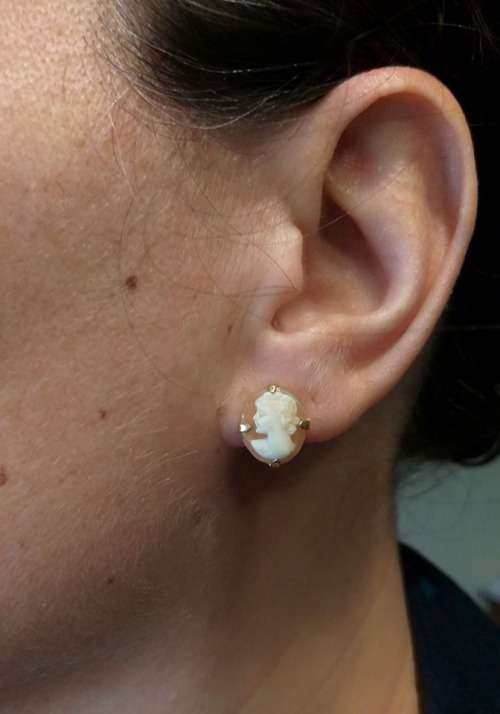 Vintage cameo earrings set in 9 ct gold
