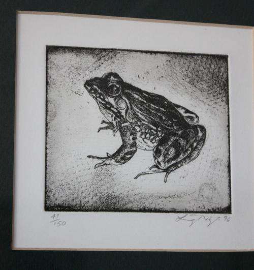 Leigh Voigt Frog etching