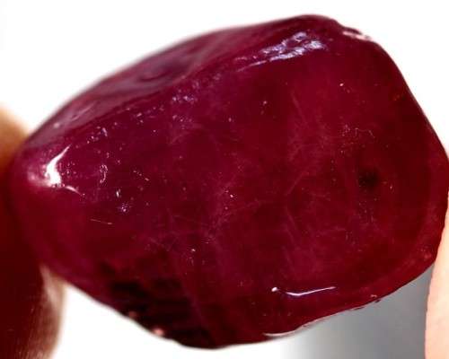 58.41 Ct. Rough Ruby Natural Top Blood Red Titanic Madagascar