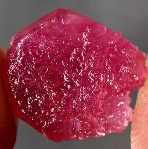 16.54 Ct. Rough Ruby Natural Top Blood Red Madagascar
