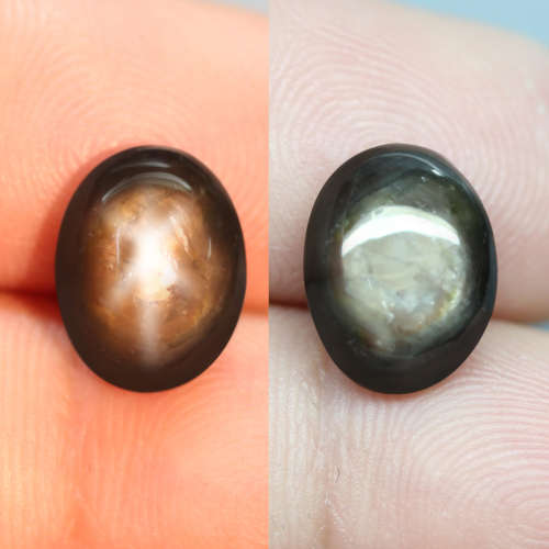 7.09Ct.Star 6 Rays Golden Black Sapphire Cabochon Natural 100%  Unheated