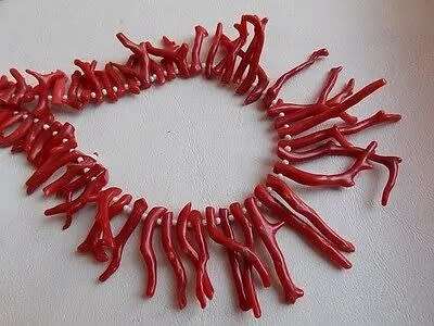 ITALIAN CORAL 12` Natural Rough Necklace Awesome AAA Quality