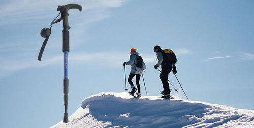 Retractable Anti-shock Walking Stick Aluminum Hiking Stick Outdoor