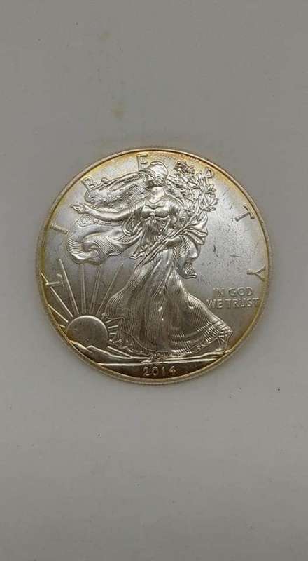2014 one oz walking liberty