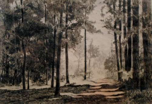 Reg Jordan - Colored Lithogaph - Tsitsikamma Forest - Investment art!!