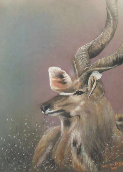 SJ (Fanie) du Plessis - Koedoe