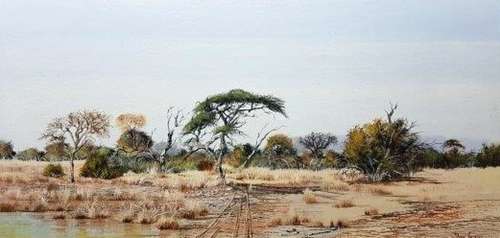 Faan Grobler - Thabazimbi Bosveld - 120cm x 60cm - Magnificent investment art!! - Bid now!