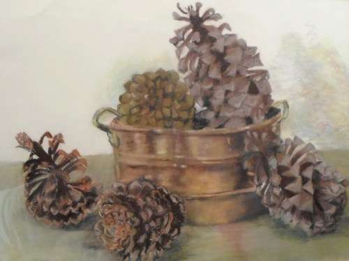 Stella Sager - Still life - Pine cones