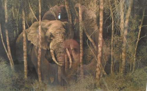 E Jammet - Elephant