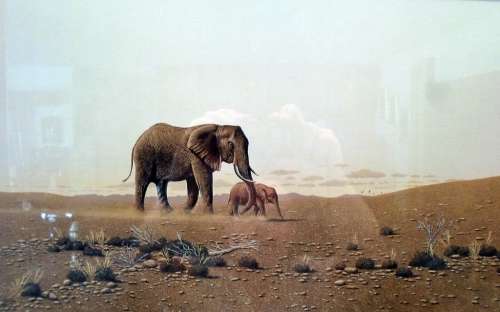Owen Owen - Elephant and calf