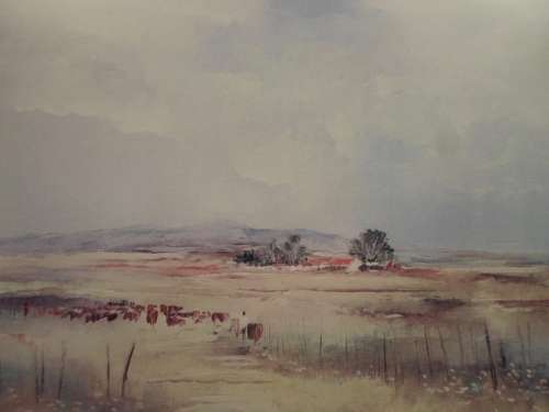 Barbara Ploner - three beautiful prints -  Stunners! - Giveaway price! - Bid now!!