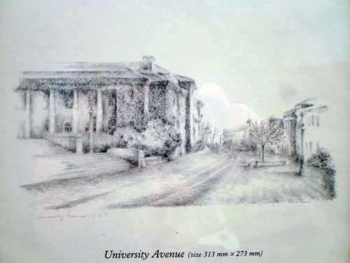 Sheila Brand - university avenue UCT