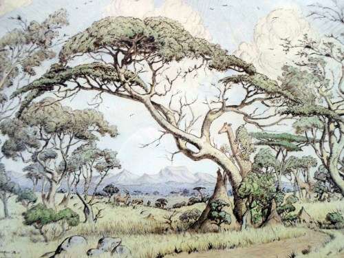 WH Coetzer - Colored etching - A magnificent piece of investment art! Bid now!!
