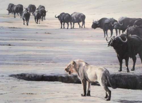 Paul Bosman - Savuti Incident - Limited edition print