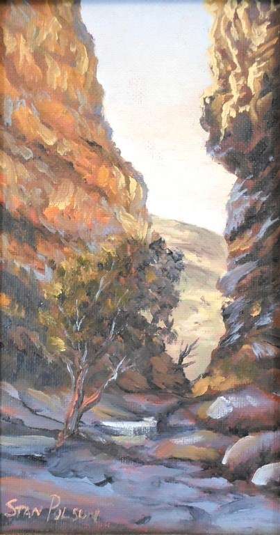Stan Polson - Meiringspoort - A beautiful little treasure! Bid now!