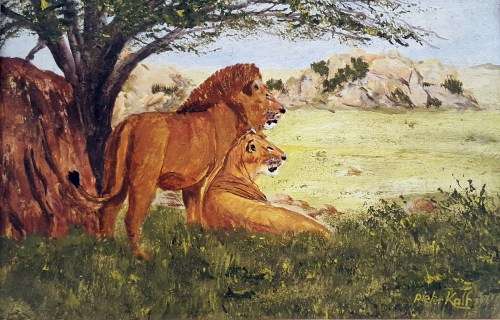 Pieter Kalf - Lions