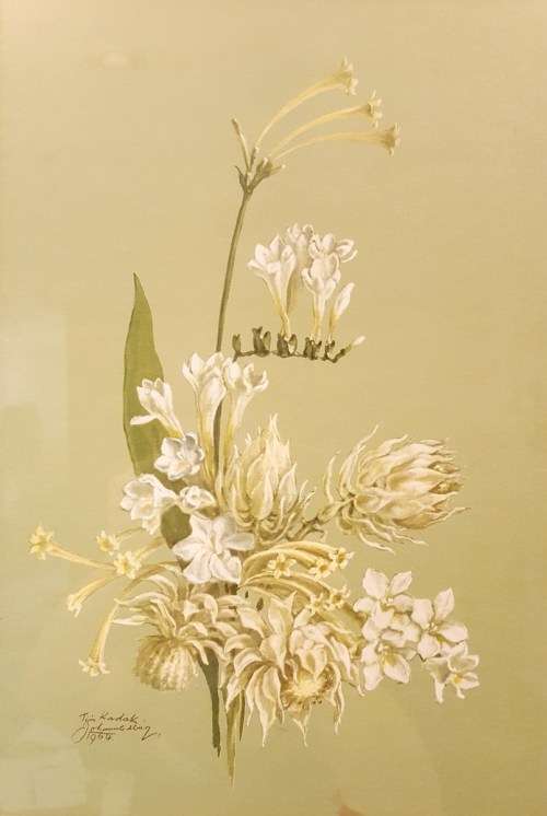 Tim Kodak - Still life flowers print - A beauty! Giveaway price, bid now!