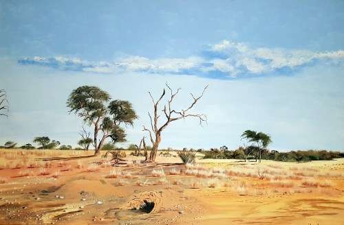 Faan Grobler - Kgalagadi - 118cm x 79cm - Magnificent investment art!! - Bid now!