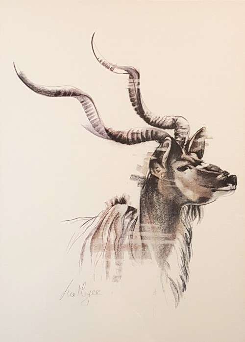 Leo Meyer - Kudu