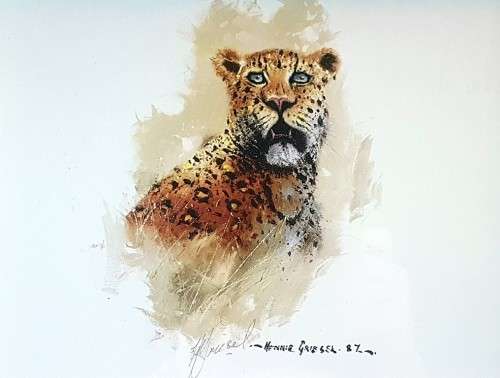 Hennie Griesel - Leopard - Signed print
