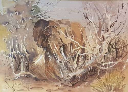 Wallace Hulley - Elephant in the bush