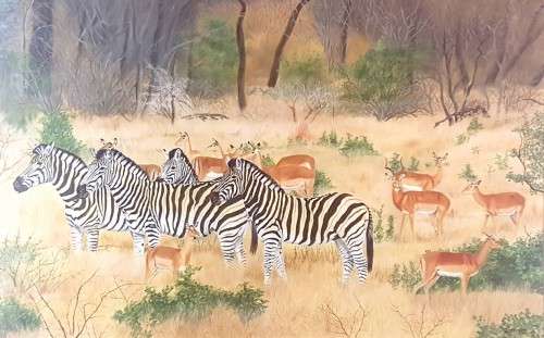 Godfried - Zebra`s and Impala's