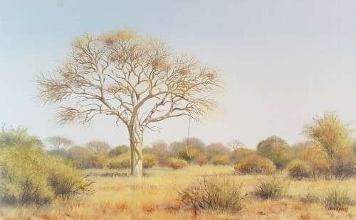 Wim Kosch - A stunning painting! - Low price! - Bid now!!