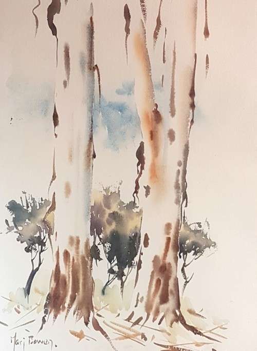 Mari Bowen - Blue gum trees