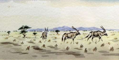 Konrad Zander - Gemsbokke - A stunning little treasure! Bid now! *Free courier