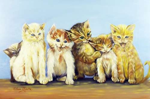 Eileen Clarke - Kittens
