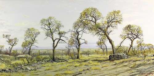 Errol Norbury - Highveld landscape