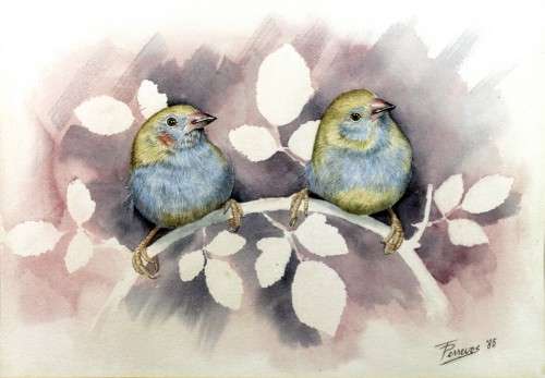 Trish Perrevos - Birds
